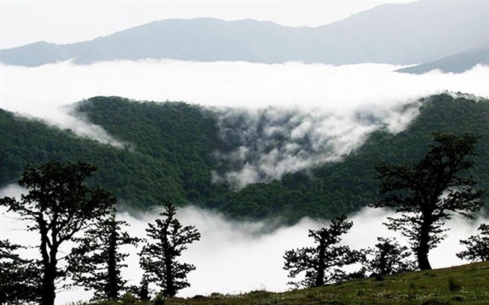 جنگل ابر در استان سمنان